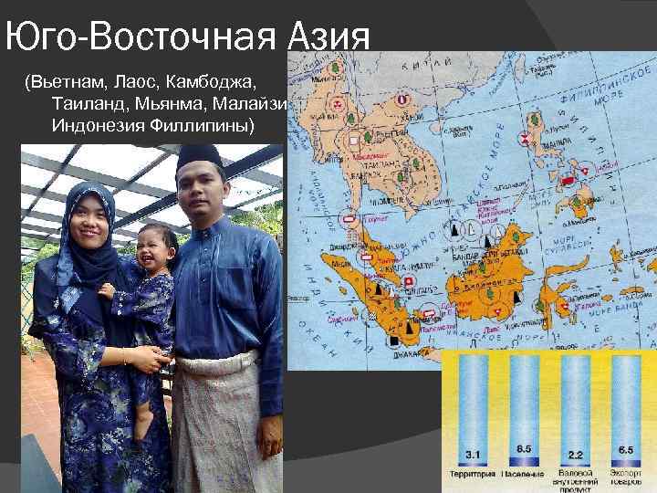 Юго-Восточная Азия (Вьетнам, Лаос, Камбоджа, Таиланд, Мьянма, Малайзия, Индонезия Филлипины) 