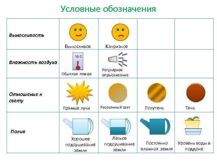 Условные обозначения Выносливость Выносливое Капризное 18 С Влажность воздуха Обычная тем-ра Регулярное опрыскивание Прямые