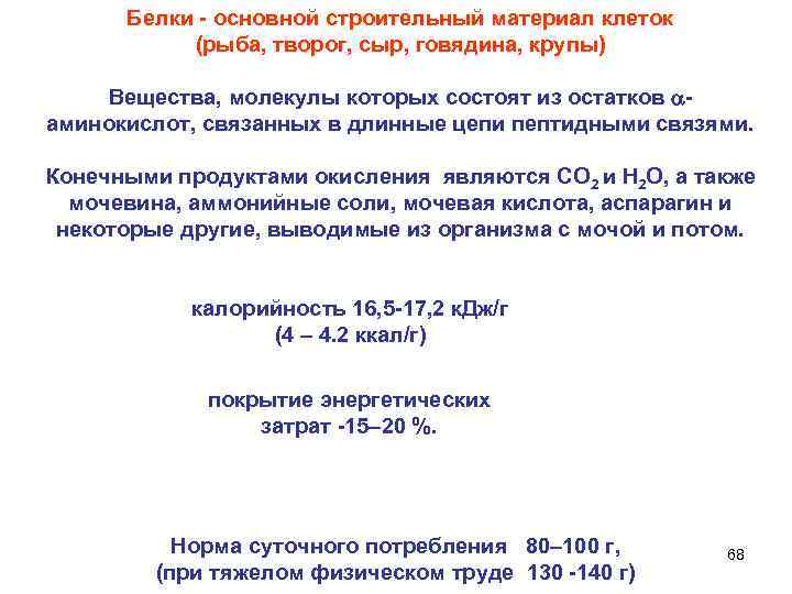 Белки - основной строительный материал клеток (рыба, творог, сыр, говядина, крупы) Вещества, молекулы которых