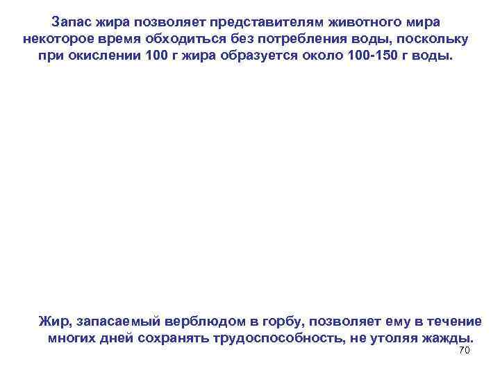 Запас жира позволяет представителям животного мира некоторое время обходиться без потребления воды, поскольку при
