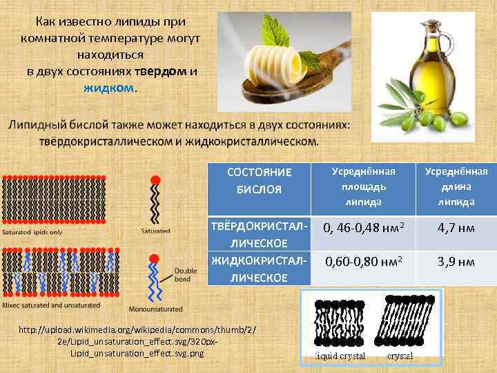 Как известно липиды при комнатной температуре могут находиться в двух состояниях твердом и жидком.