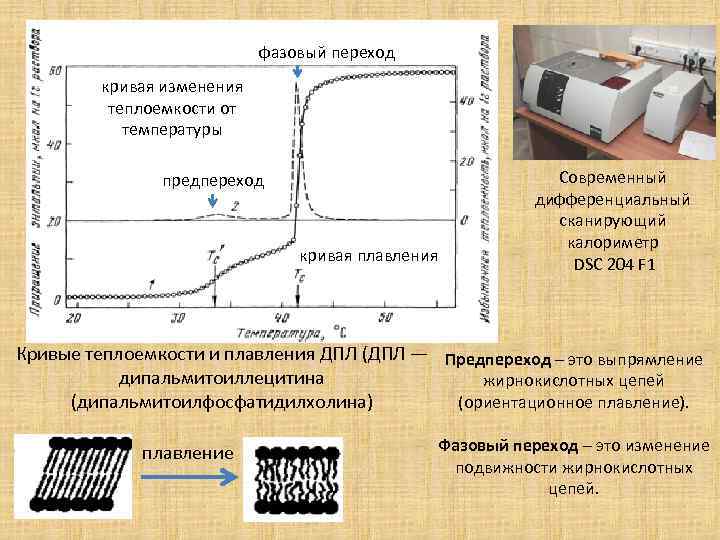 фазовый переход кривая изменения теплоемкости от температуры предпереход кривая плавления Современный дифференциальный сканирующий калориметр