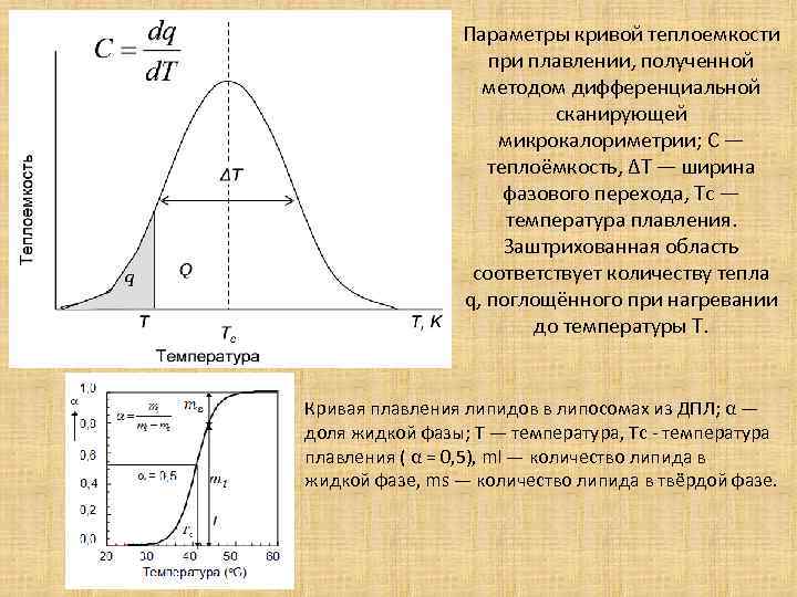 Параметры кривой. Теплоемкость базового перехода. Изменение теплоемкости при фазовых переходах. Кривая плавкости.