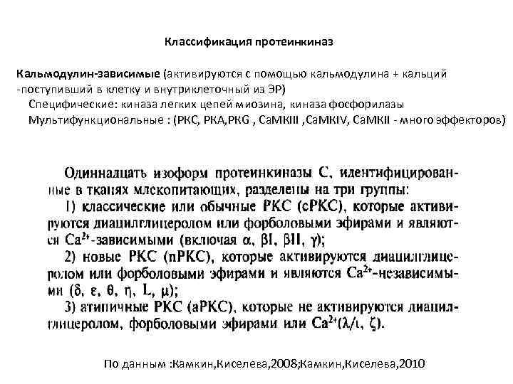 Классификация протеинкиназ Кальмодулин-зависимые (активируются с помощью кальмодулина + кальций -поступивший в клетку и внутриклеточный