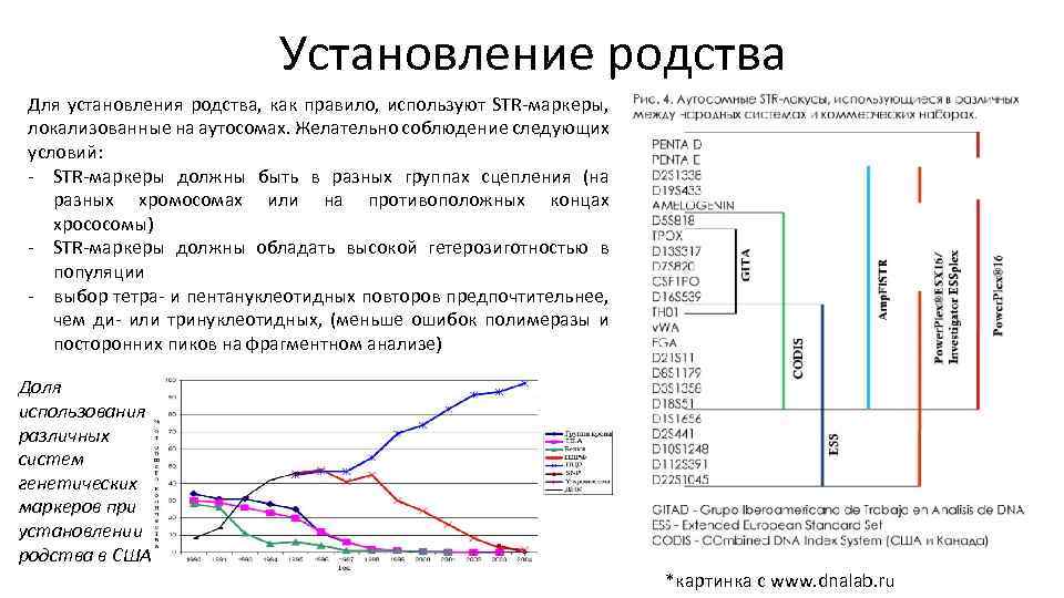 Генотипирование супружеской пары