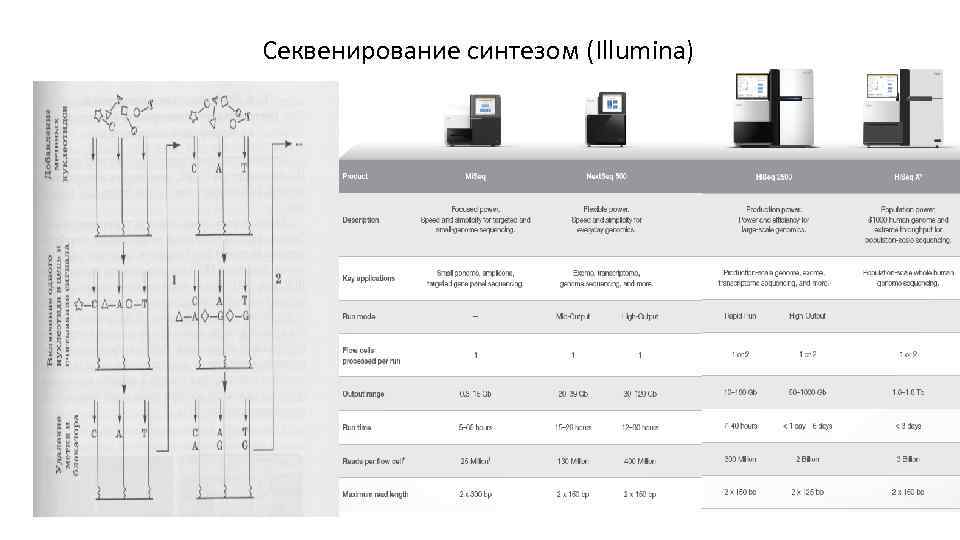 Секвенирование синтезом (Illumina) 