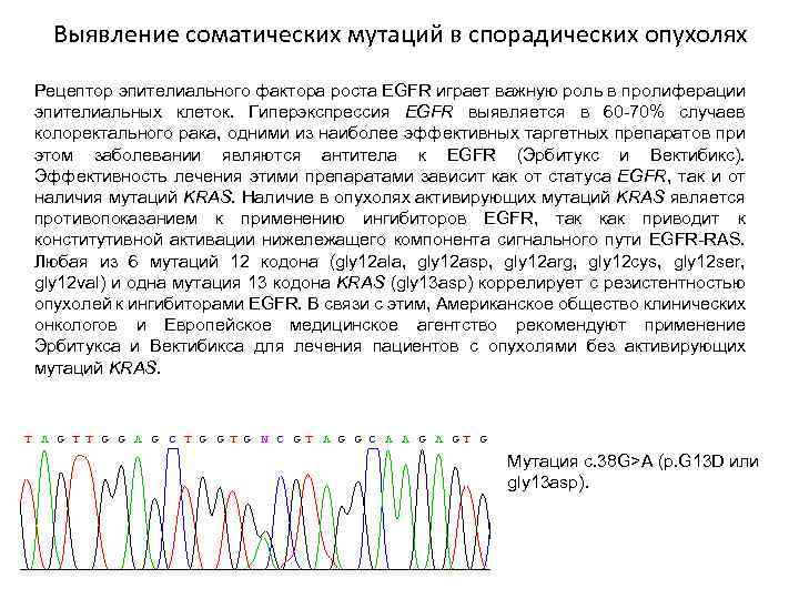 Выявление соматических мутаций в спорадических опухолях Рецептор эпителиального фактора роста EGFR играет важную роль