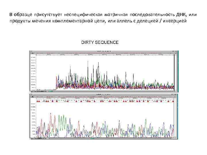 В образце присутствует неспецифическая матричная последовательность ДНК, или продукты мечения комплементарной цепи, или аллель