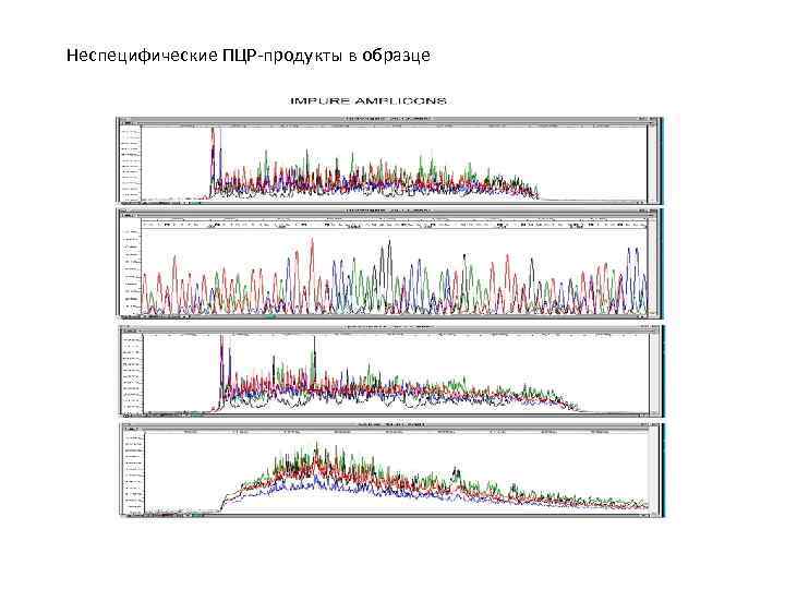 Изобразите в виде схемы все возможные сферы применения пцр