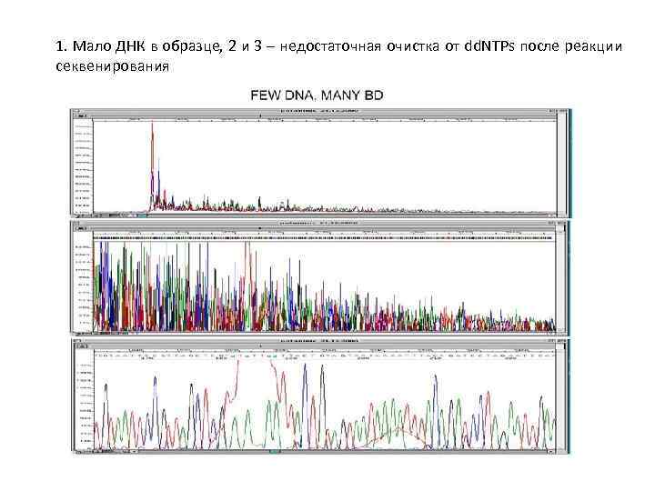 1. Мало ДНК в образце, 2 и 3 – недостаточная очистка от dd. NTPs