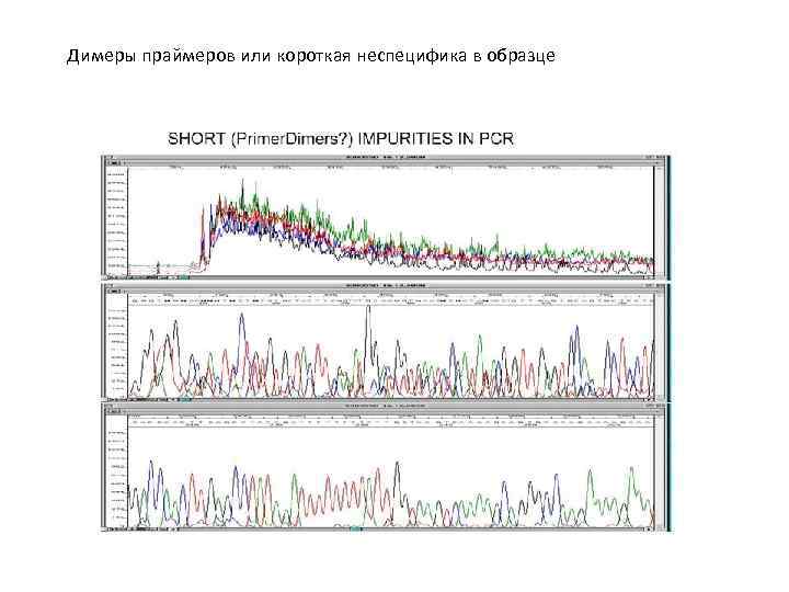 Димеры праймеров или короткая неспецифика в образце 