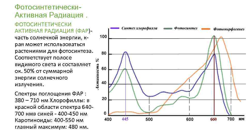 Фотосинтетически- Активная Радиация. ФОТОСИНТЕТИЧЕСКИ АКТИВНАЯ РАДИАЦИЯ (ФАР)- часть солнечной энергии, края может использоваться растениями