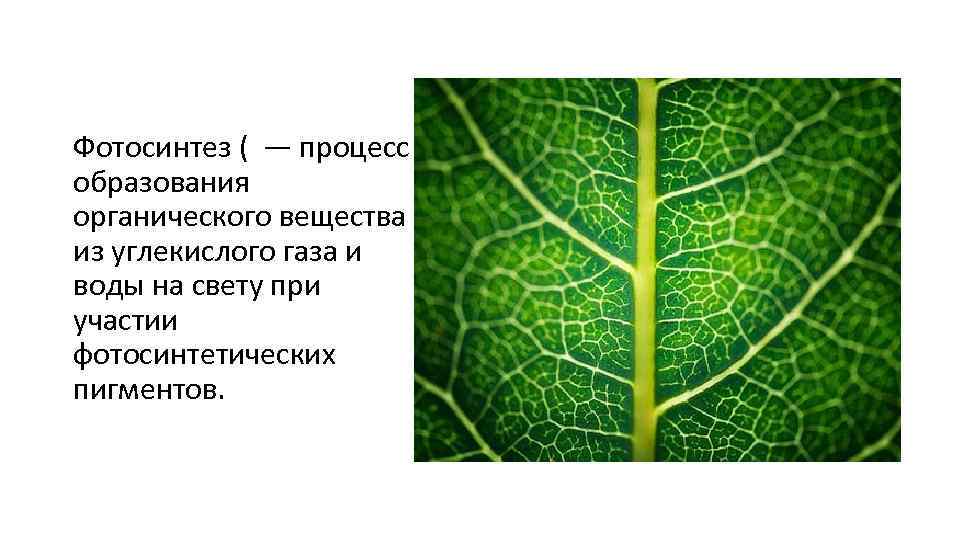 Фотосинтез ( — процесс образования органического вещества из углекислого газа и воды на свету
