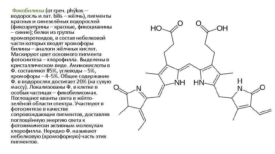  Фикобилины (от греч. phýkos – водоросль и лат. bilis – жёлчь), пигменты красных