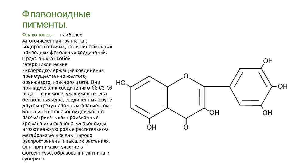 Флавоноидные пигменты. Флавоноиды — наиболее многочисленная группа как водорастворимых, так и липофильных природных фенольных