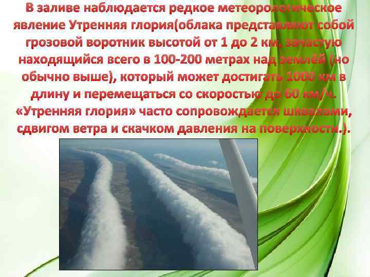 В заливе наблюдается редкое метеорологическое явление Утренняя глория(облака представляют собой грозовой воротник высотой от