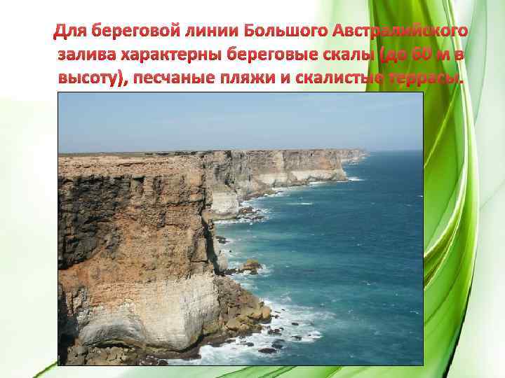 Для береговой линии Большого Австралийского залива характерны береговые скалы (до 60 м в высоту),