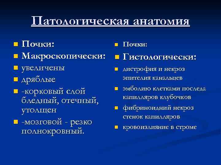 Патологическая анатомия Почки: n Макроскопически: n увеличены n дряблые n -корковый слой бледный, отечный,