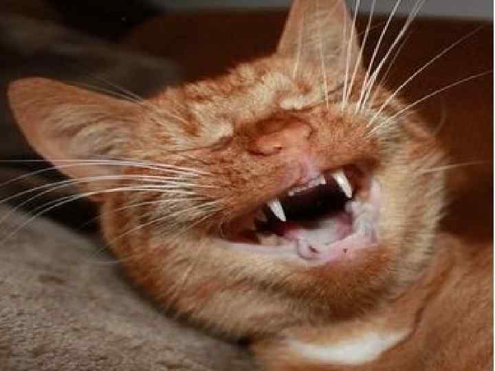 Спасибо за внимание!!! 