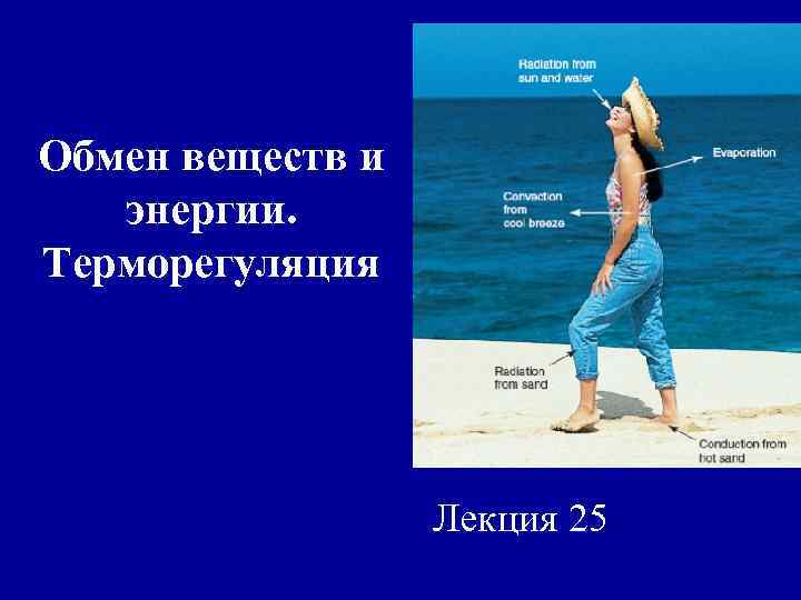 Обмен веществ и энергии. Терморегуляция Лекция 25 