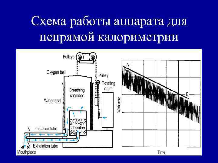 Схема работы аппарата для непрямой калориметрии 