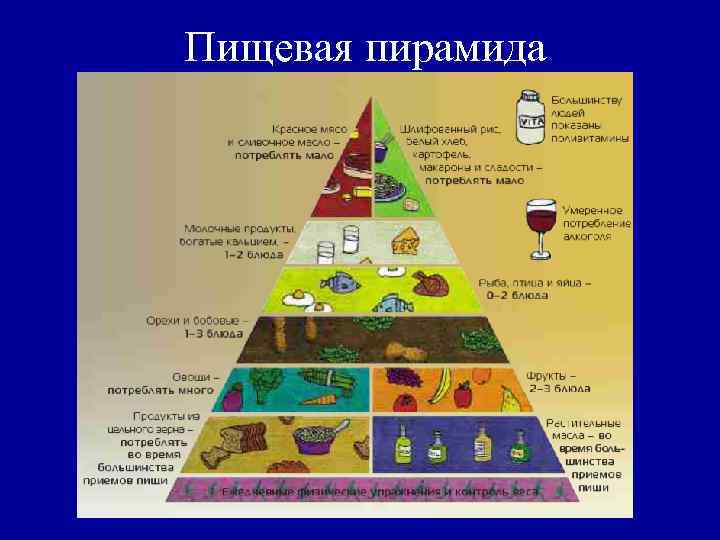Пищевая пирамида 