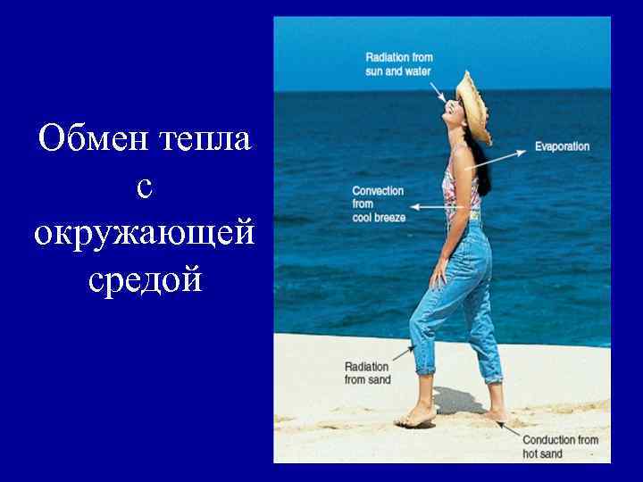 Обмен тепла с окружающей средой 