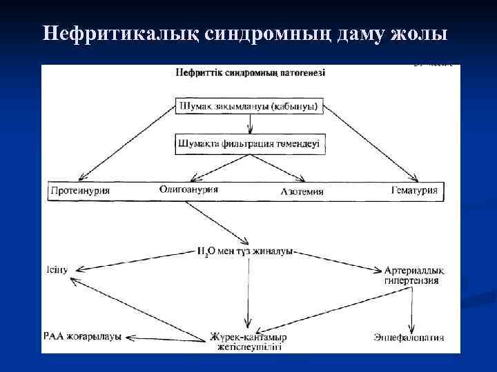 Нефритикалық синдромның даму жолы 