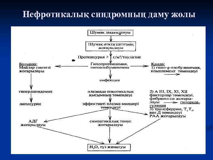 Нефротикалық синдромның даму жолы 