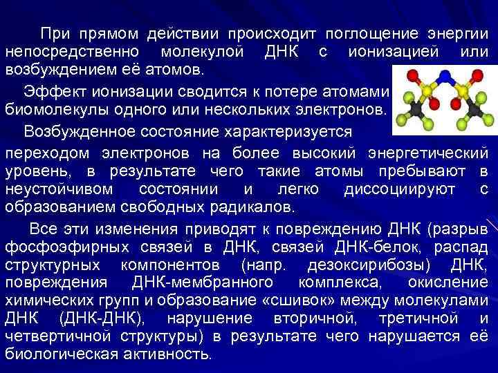 При прямом действии происходит поглощение энергии непосредственно молекулой ДНК с ионизацией или возбуждением её