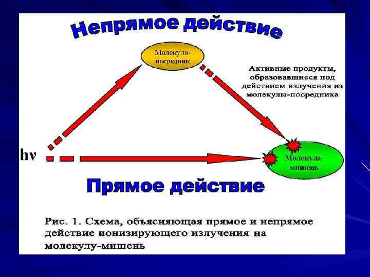 Прямого действия и косвенные. Прямое действие ионизирующего излучения. Ионизирующее излучение прямое и Непрямое действие. Непрямое действие ионизирующего излучения. Косвенное ионизирующее излучение.