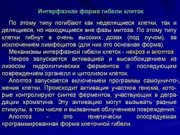 Интерфазная форма гибели клеток По этому типу погибают как неделящиеся клетки, так и делящиеся,