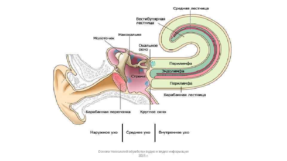 Основы технологий обработки аудио и видео информации 2015 г. 