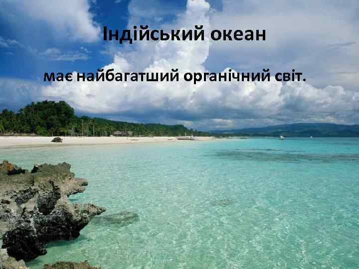 Індійський океан має найбагатший органічний світ. 