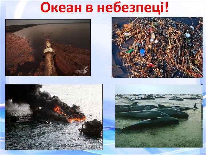 Океан в небезпеці! 