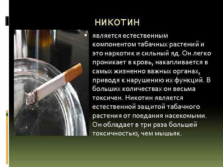 никотин является естественным компонентом табачных растений и это наркотик и сильный яд. Он легко