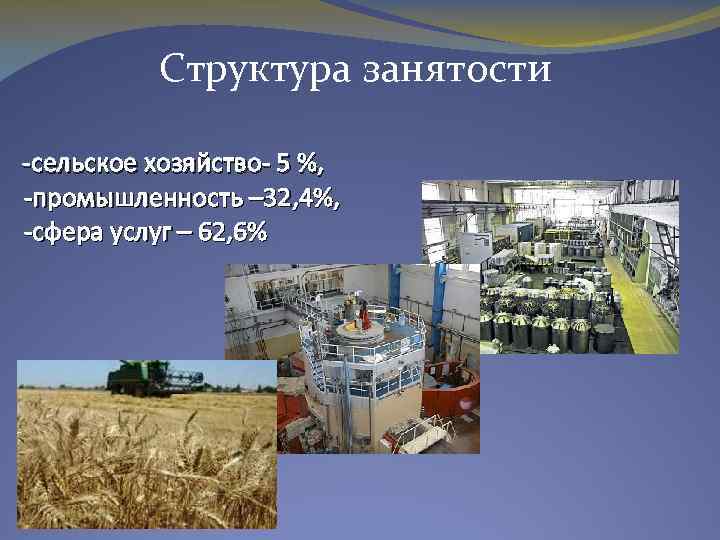 Структура занятости -сельское хозяйство- 5 %, -промышленность – 32, 4%, -сфера услуг – 62,