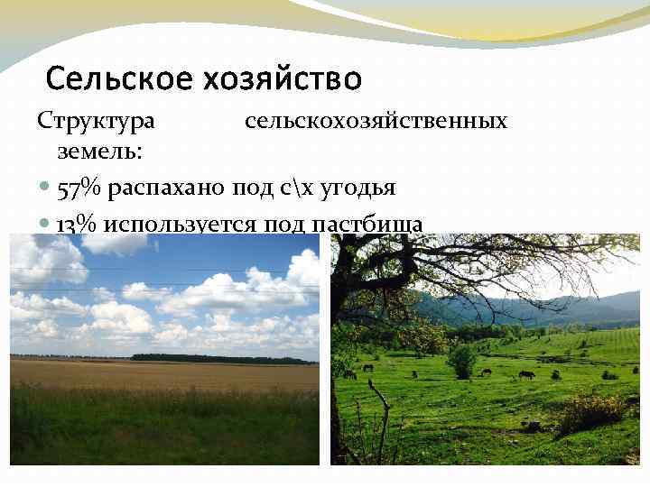 Сельское хозяйство Структура сельскохозяйственных земель: 57% распахано под сх угодья 13% используется под пастбища