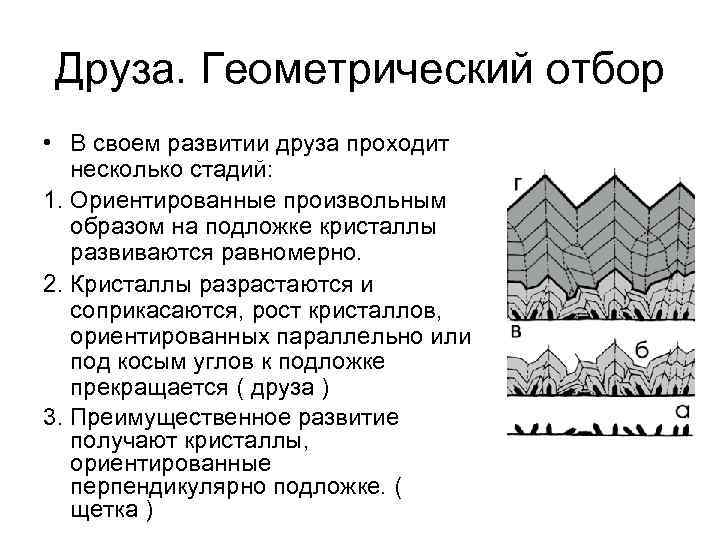 Друза. Геометрический отбор • В своем развитии друза проходит несколько стадий: 1. Ориентированные произвольным