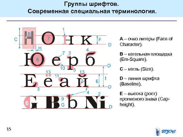 Группы шрифтов. Современная специальная терминология. А – очко литеры (Face of Character). B –