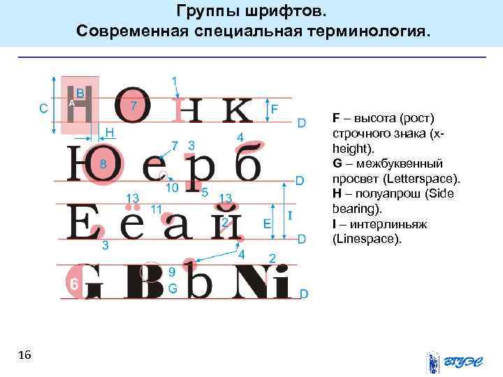 Группы шрифтов. Современная специальная терминология. F – высота (рост) строчного знака (xheight). G –