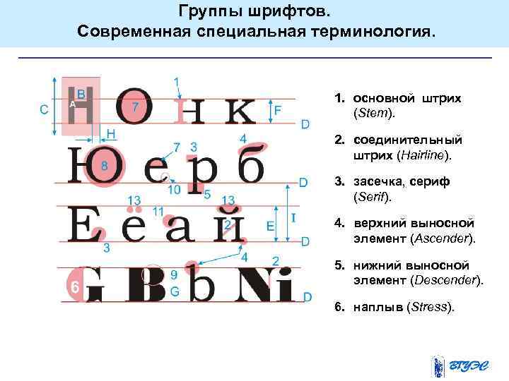 Группы шрифтов. Современная специальная терминология. 1. oсновной штрих (Stem). 2. соединительный штрих (Hairline). 3.