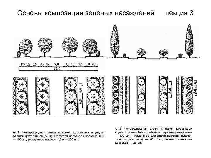 Схема зеленых насаждений