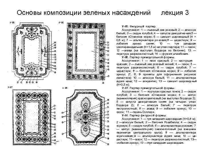 Основы композиции зеленых насаждений лекция 3 У-85. Фигурный партер. Ассортимент: 1 — львиный зев