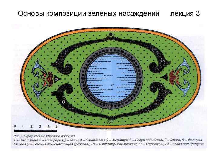 Основы композиции зеленых насаждений лекция 3 