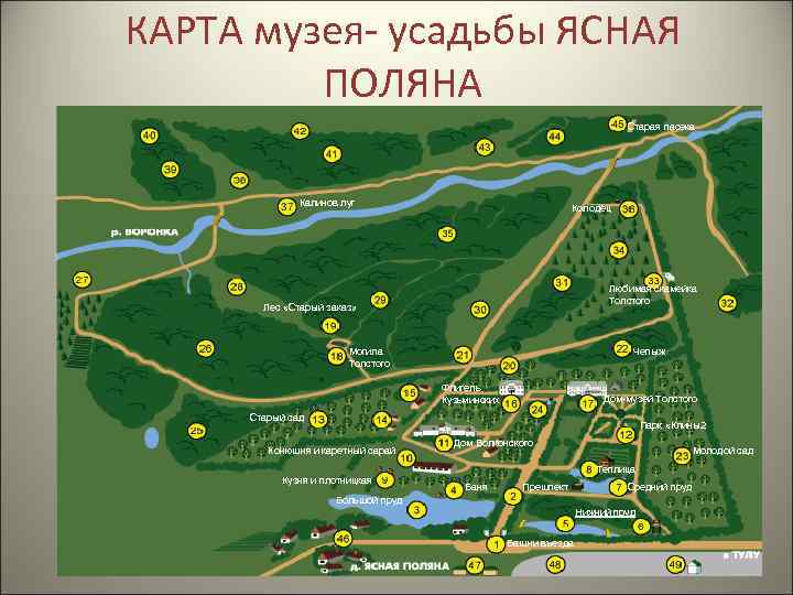 КАРТА музея- усадьбы ЯСНАЯ ПОЛЯНА Старая пасека Калинов луг Колодец Любимая скамейка Толстого Лес