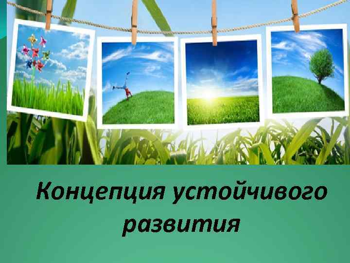 Концепция устойчивого развития 