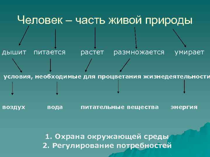 Человек – часть живой природы дышит питается растет размножается умирает условия, необходимые для процветания