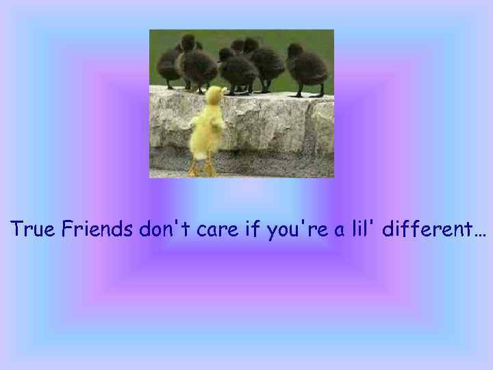 True Friends don't care if you're a lil' different… 