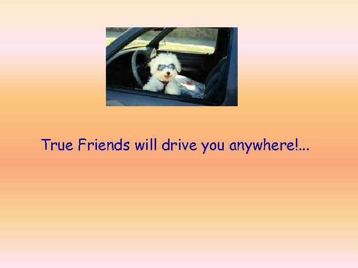 True Friends will drive you anywhere!. . . 